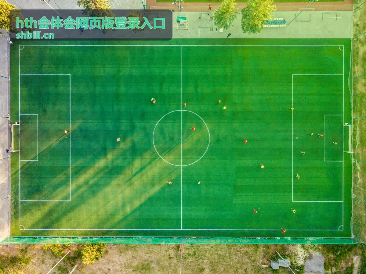 hth会体会网页版登录入口访问异常自查配图